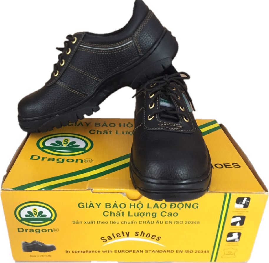 Giay Bao Ho Dragon Nr1 01