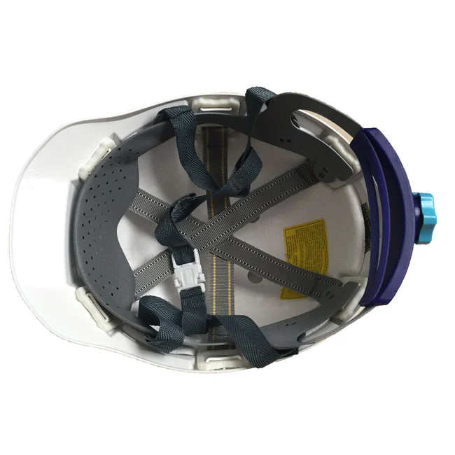 Seeda 02